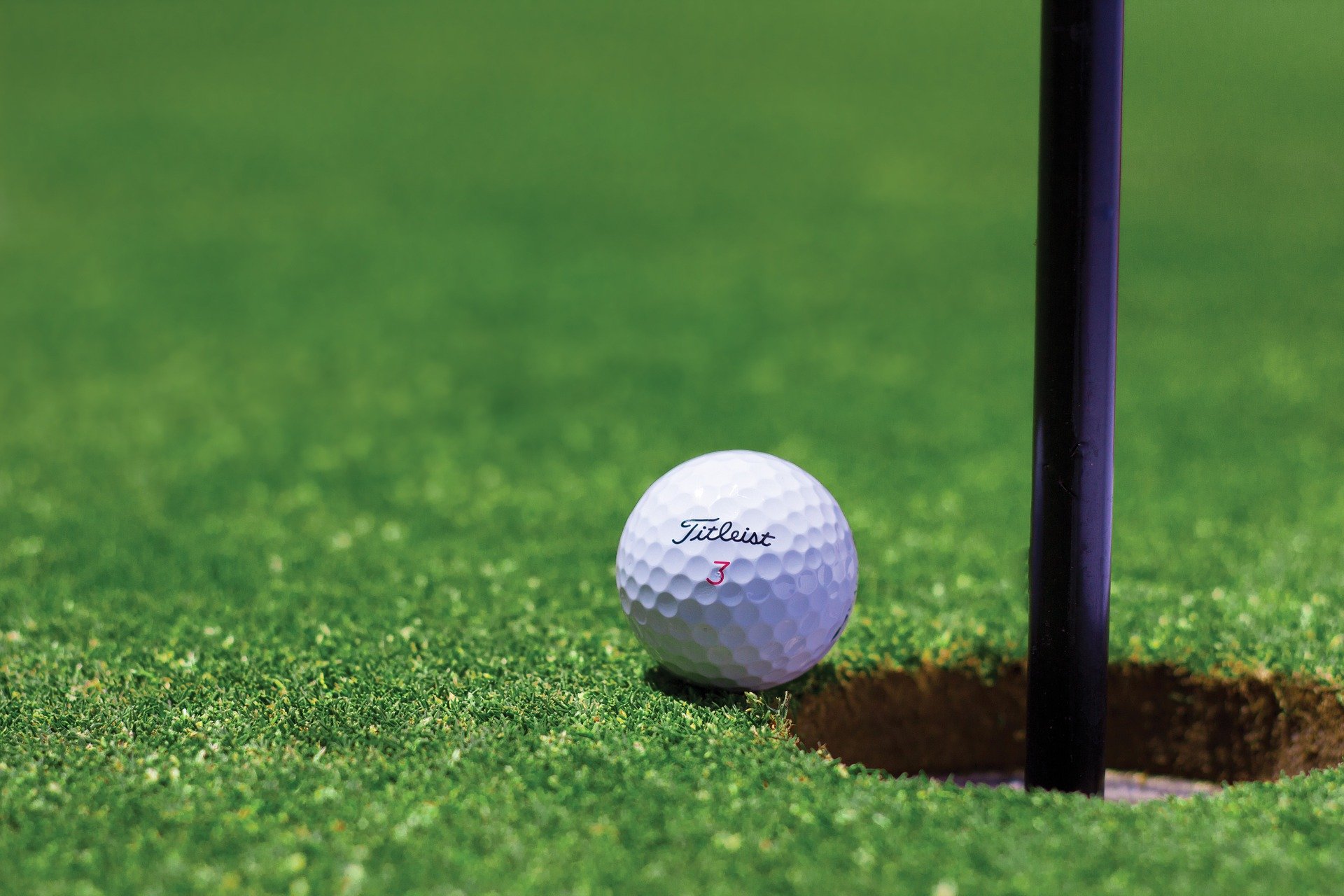 A golfball on the putting green
