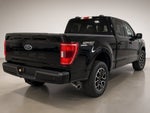 2023 Ford F-150 XLT 4WD Sport Appearance