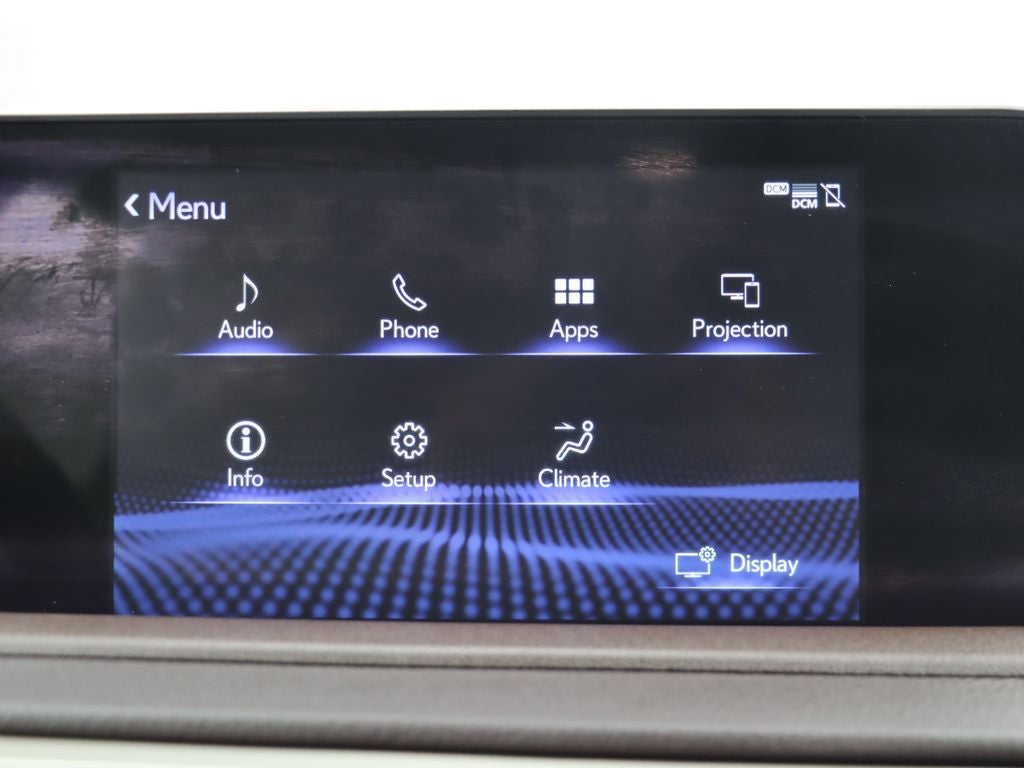 2020 Lexus RX 350 Premium