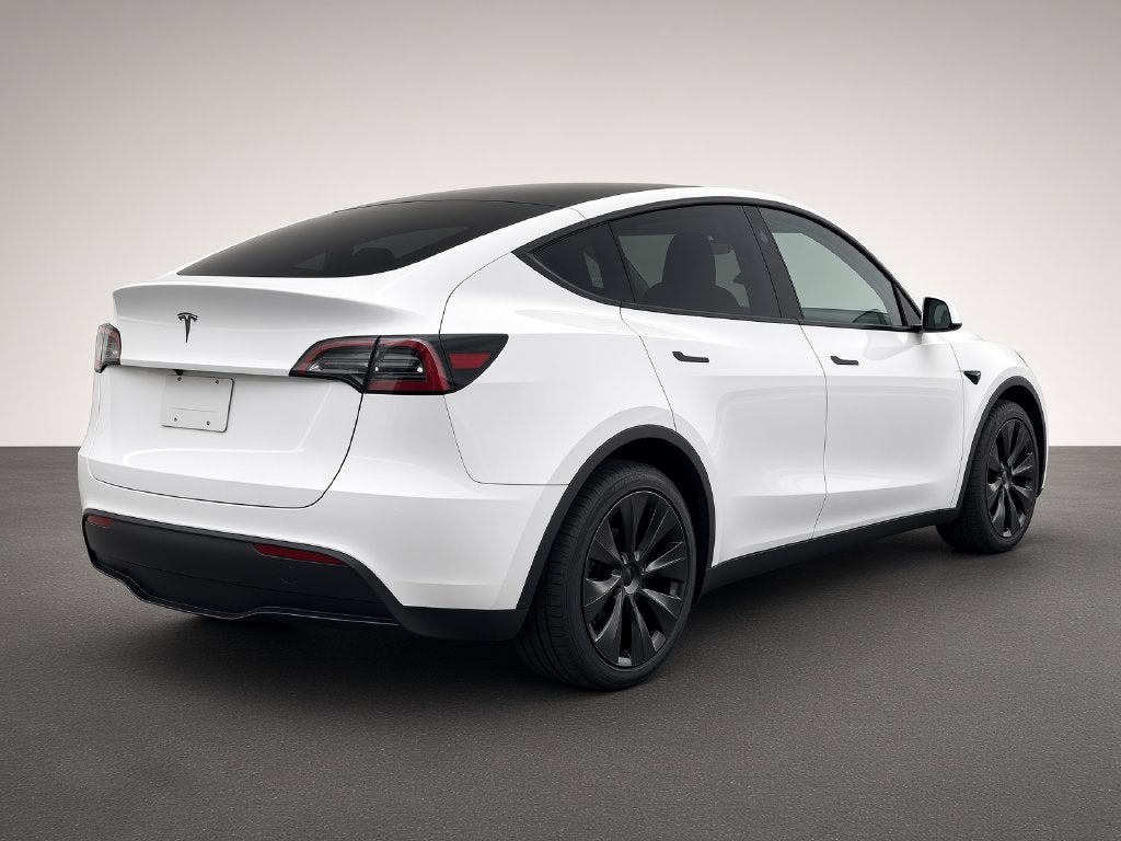2025 Tesla Model Y Long Range Navigation